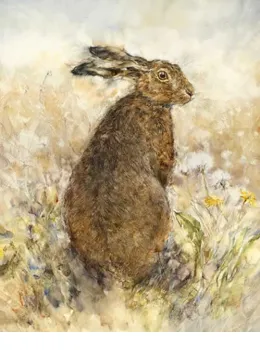 The Curious Hare - Paper - Mounted