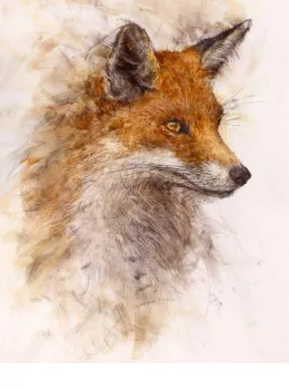Reynard II - Mounted