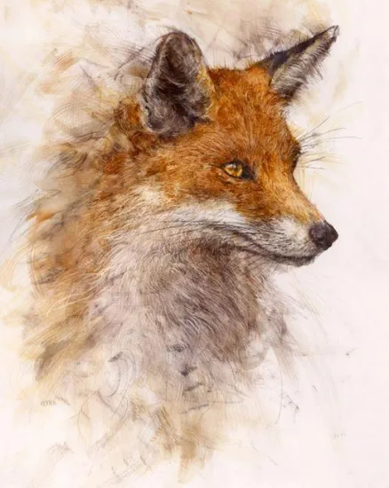 Reynard Reynard