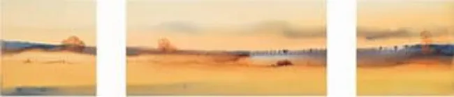 Golden Reflection (Triptych) - Mounted