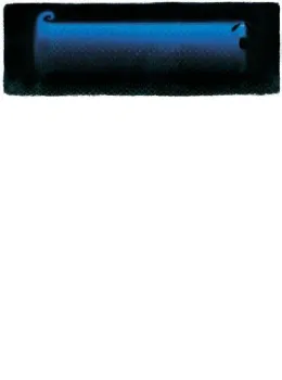 Leopold Longshanks - Canvas - With slip