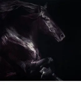Equus II - Board Only