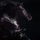 Equus II - Board Only