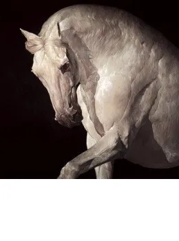 Equus - Board Only