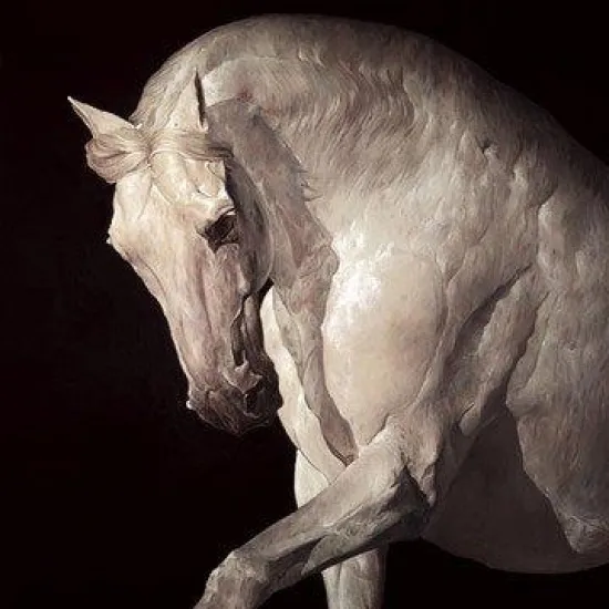 Equus