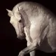 Equus - Board Only