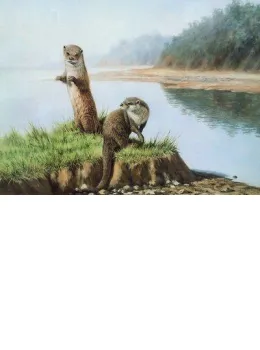 Two Otters - Mounted