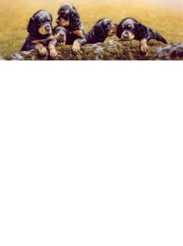 Don't Tell The Others - Gordon Setter Pups - Print