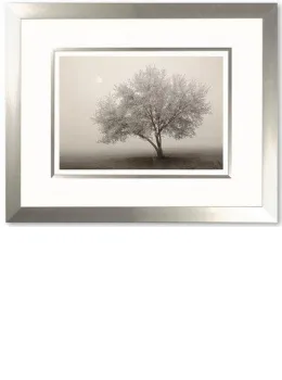 Forever Spring - Framed