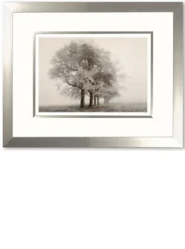 Forever Autumn - Framed