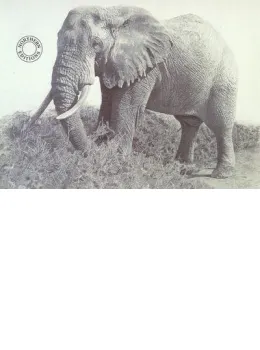 Age Of Africa - Print