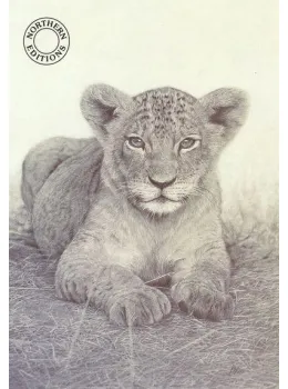 Pride And Joy - Print