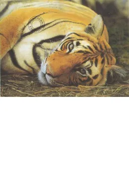 Quiet Moment - Print