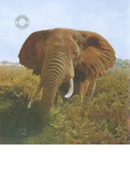 Wise Man Of Africa - Print