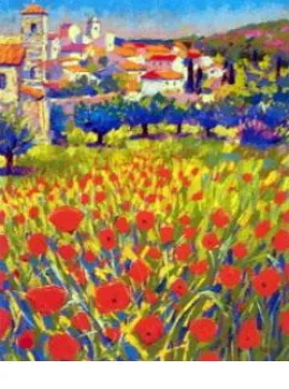Poppies At Lourmarin Provence - Mounted