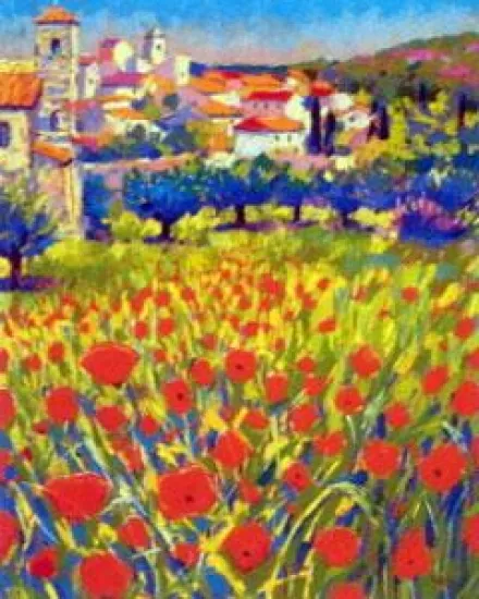 Poppies At Lourmarin Provence - Mounted