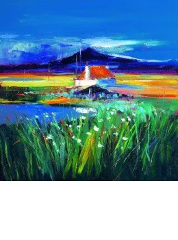 Croft On The Machair, South Uist - Board Only