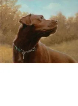 Hot Chocolate - Chocolate Labrador - Dark Wood Framed