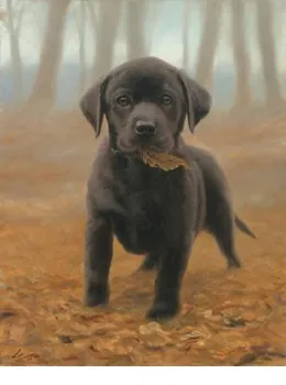 Puppy Leaves - Black Labrador Pup - Print