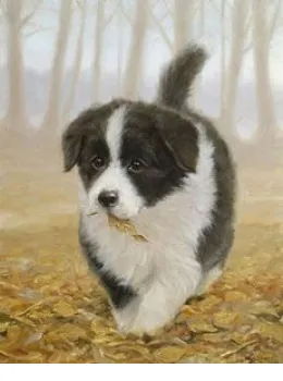 Litterbug! - Border Collie Pup - Print