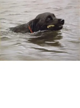 My Favourite Stick! - Black Labrador - Print