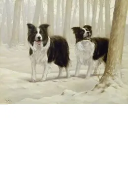 Winter Friends I - Border Collies - Print only