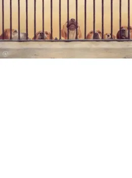 Jailhouse Rock - English Foxhound - Print