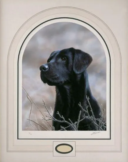 Classic Breeds Series