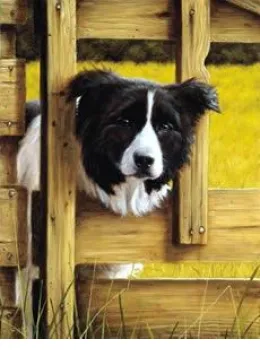 The Lookout - Mounted