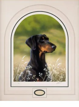 Classic Breeds - Dobermann Pinscher - Mounted