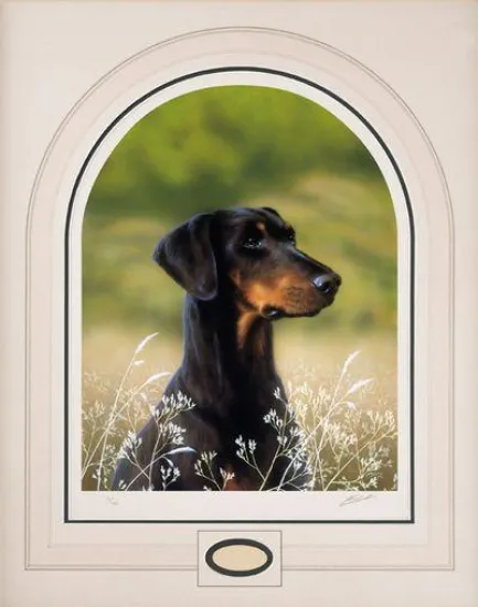 Classic Breeds Series