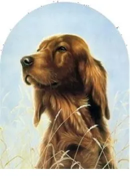 Classic Breeds - Irish Setter - Mounted