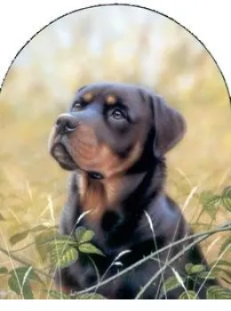 Classic Breeds - Rottweiler - Mounted