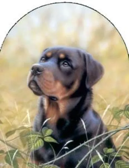 Classic Breeds Series