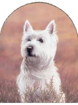 Classic Breeds - Westie - Mounted