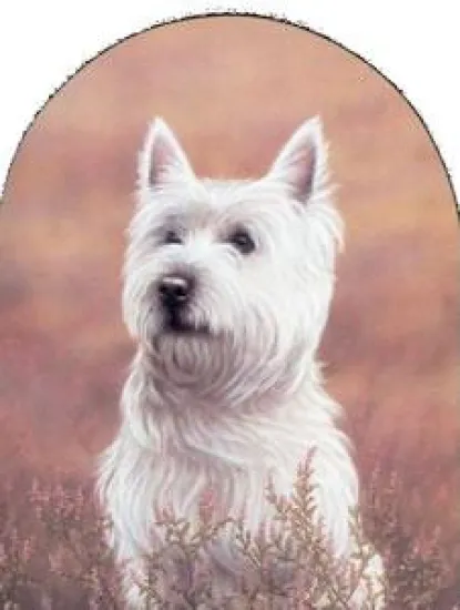 Classic Breeds Series