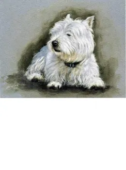 Westie Study - Mounted