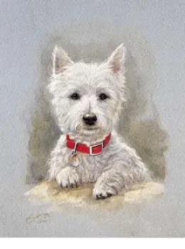 Westie Pup Study - Mounted