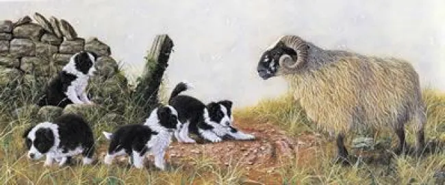 Early Learning - Print