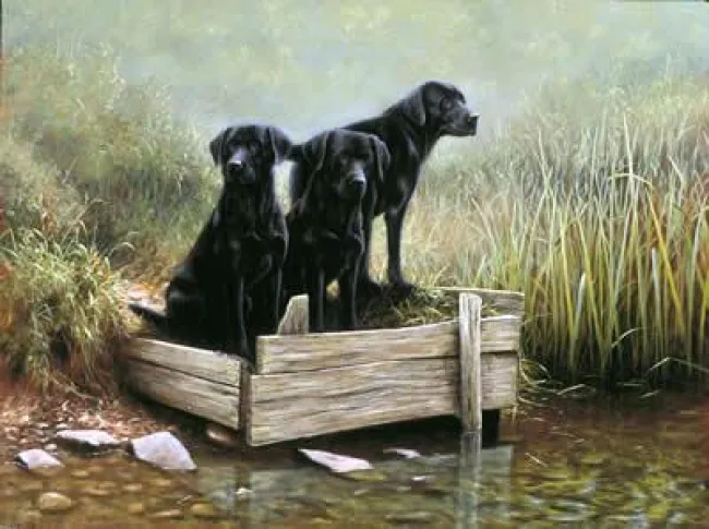 Tails Of The River Bank