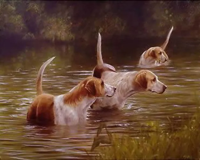 Cooling Down