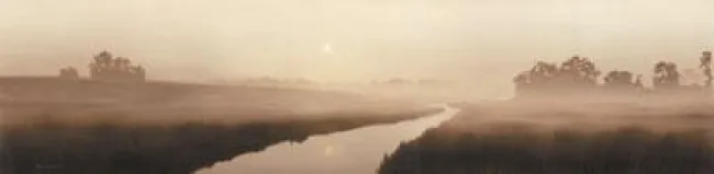 Perfect Dawn