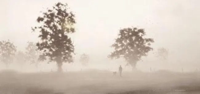 The Walk I