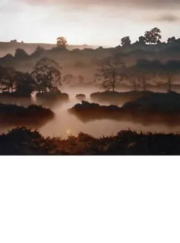 The Flooded Field - With slip