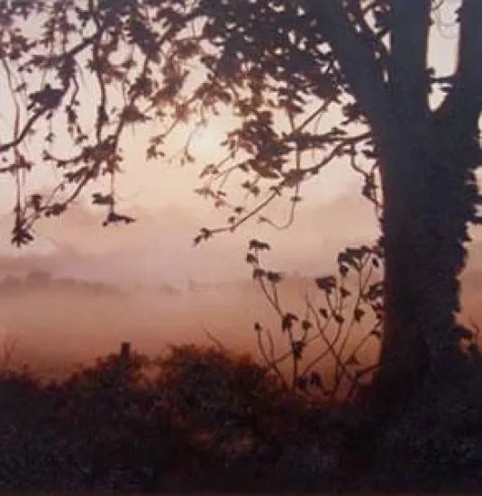 The Hedgerow