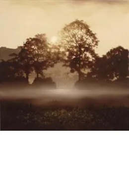 The Beauty Of Nature - With slip