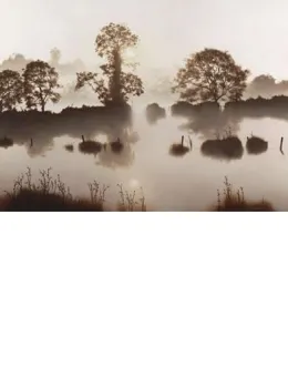 Reflections In Time - Print