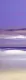 Lilac Fusion I - Mounted