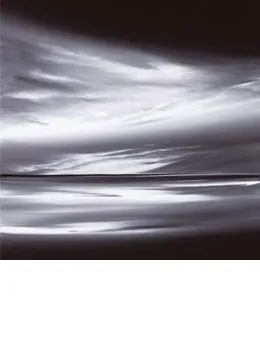Graphite Skies II - Mounted