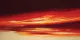 Cinnamon Skies IV - Mounted